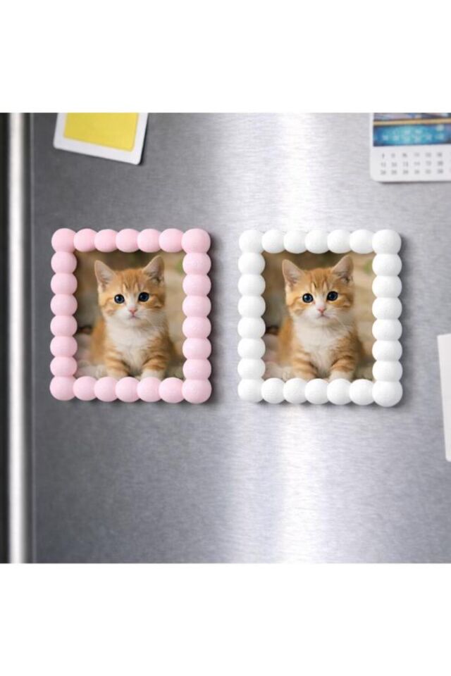 Magnet Organizer Düzenleyici Buzdolabı Çerçeve- 2'Li Fotoğraf Çerçevesi Pratik Kullanım Yer Tasarrufu Sağlayan