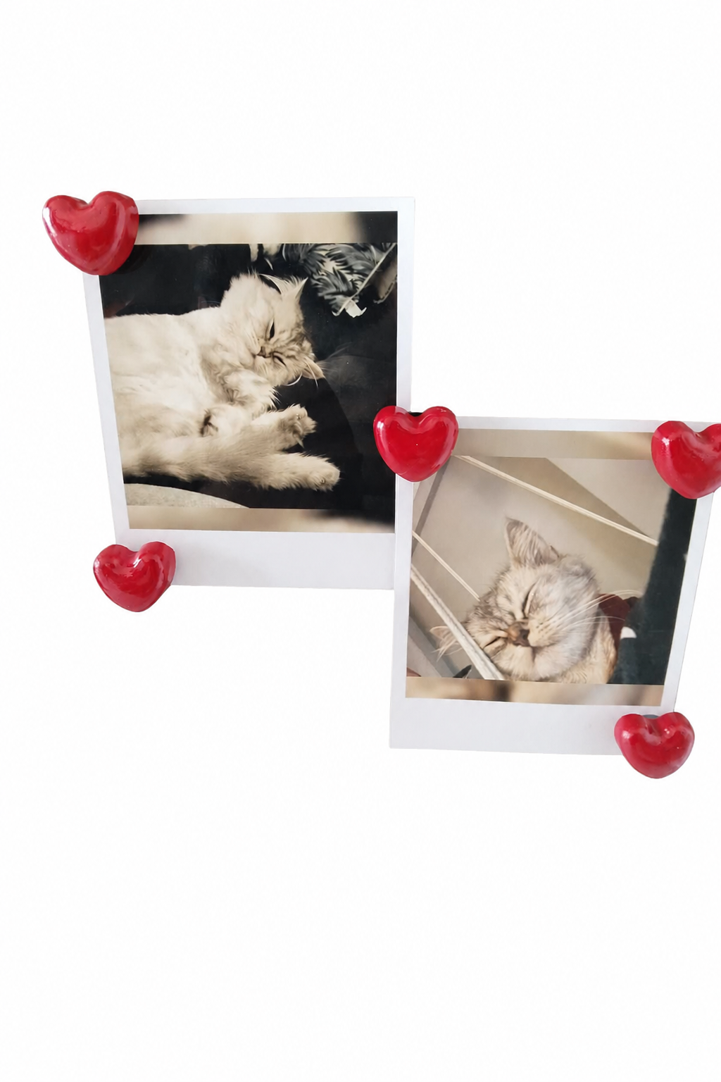 Magnet Organizer Düzenleyici 5'li Kalpli Seti – Fotoğraf ve Not Tutucu, Buzdolabı Süsü, Güçlü Mıknatıs, Dekoratif Pratik Kullanım Yer Tasarrufu Sağlayan